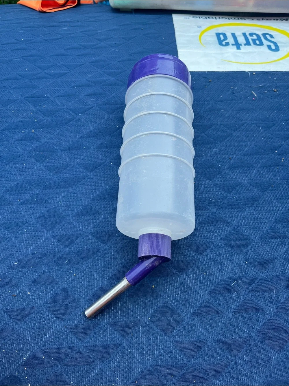 Guinea pig water bottle